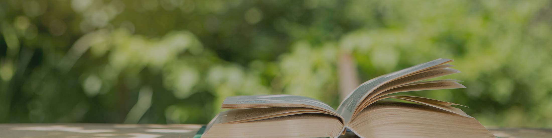 image of open book on table in summer garden.